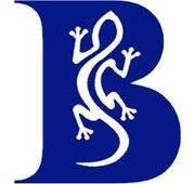 BlueGekko Kft.