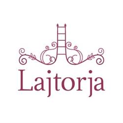 Lajtorja Tehetséggondozó és Fejlesztőház