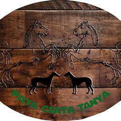 Pata-Csata Tanya