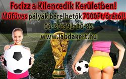 Labdakert Sportklub
