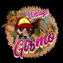 Gizmo Vintage
