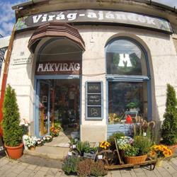 Mákvirág Virágüzlet