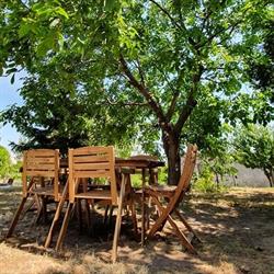 Diófa Vendégház Balatonfüred