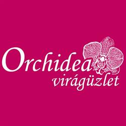 Orchidea virágüzlet