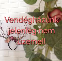 ZÁRVA! Vadszőlő Vendégház Farkasgyepű