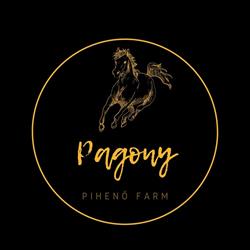 Pagony Pihenő Farm