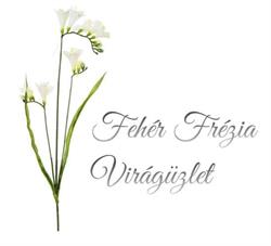 Fehér Frézia Virágüzlet