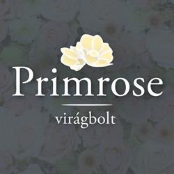 Primrose Virágbolt