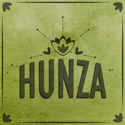 Hunza Ecolodge & Campsite