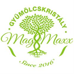 Mag-Maxx Kft.