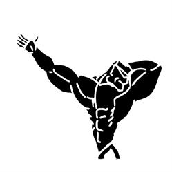 Body Fit Sportcentrum