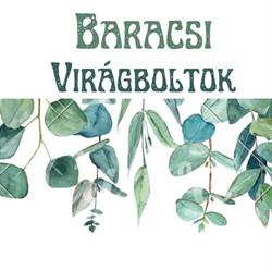 Baracsi Kft