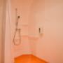 Wheelchair Accessible Room Shower