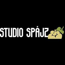 Studio Spájz