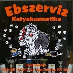 Ebszerviz
