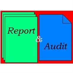 Report & Audit Könyvvizsgáló és Adószakértő Kft