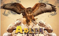 Adler presszó
