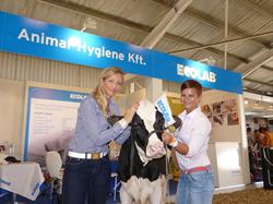 Animal-Hygiene Kft.