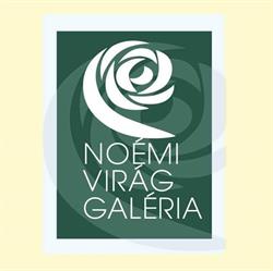 Noémi Virág Galéria