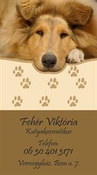 Fehér Viktória Kutyakozmetika 06/30-401-3171
