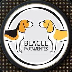 Beagle Fajtamentés