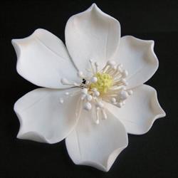 Magnolia Art Kertépítő Kft.