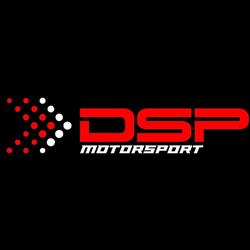 DS Performance Chip
