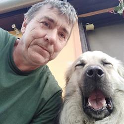 Mi Autónk Szervize Kft
