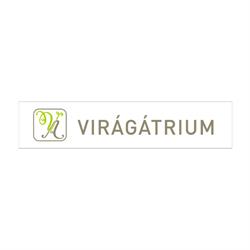 Virágátrium Mórahalom Kft.