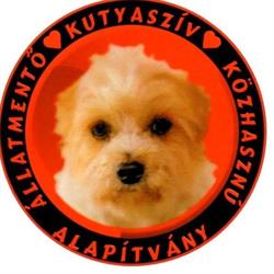 Kutyaszív Állatmentő Közhasznú Alapítvány