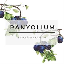 Panyolium