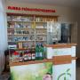 Officina