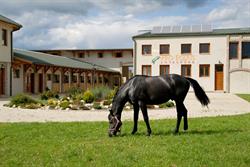 Pro Equus Lovaspark