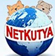 Netkutya