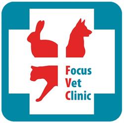 Focus Vet Állatorvosi Rendelő