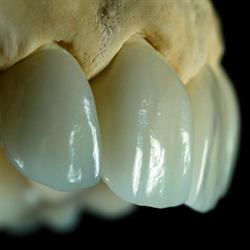 DENTAL-MATRIX Kft.