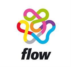 Flow Consulting Kft.