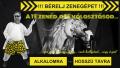 Zenegép bérbeadás