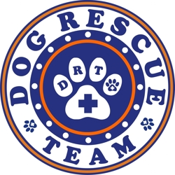 Dog Rescue Team 2012