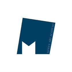 Modul Art Academy