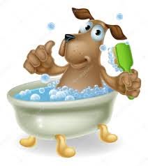 Dog Dögönyözö kutyakozmetika