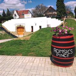 Romsics Pince