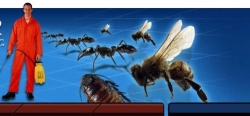 Pestcontrol