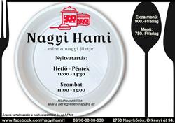 Nagyi Hami