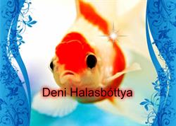 Deni Halasbóttya