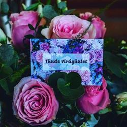 Tünde félpénzes és virágbolt