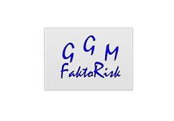 GGM FaktoRisk Kft.