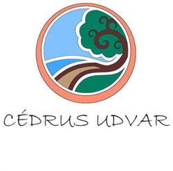 Cédrus Udvar