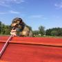 agility - happility