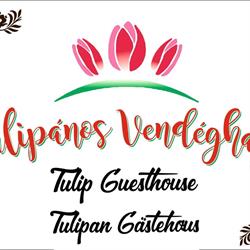 Tulipanos Vendeghaz
